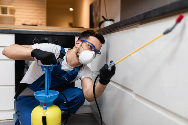 Best Residential Pest Control  in Spinnerstown, PA