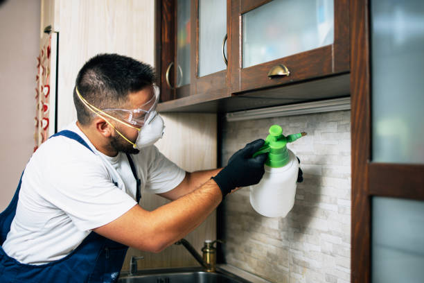 Best Affordable Pest Control Services  in Spinnerstown, PA