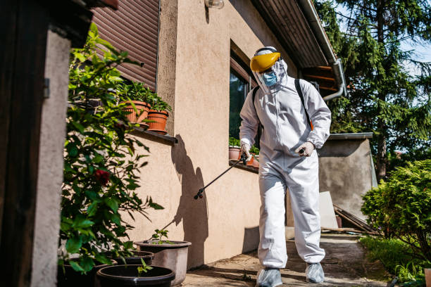 Best Pest Control Near Me  in Spinnerstown, PA