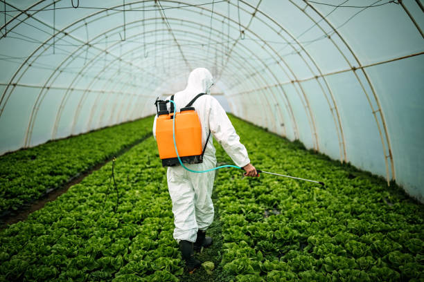 Best Pest Control Near Me  in Spinnerstown, PA