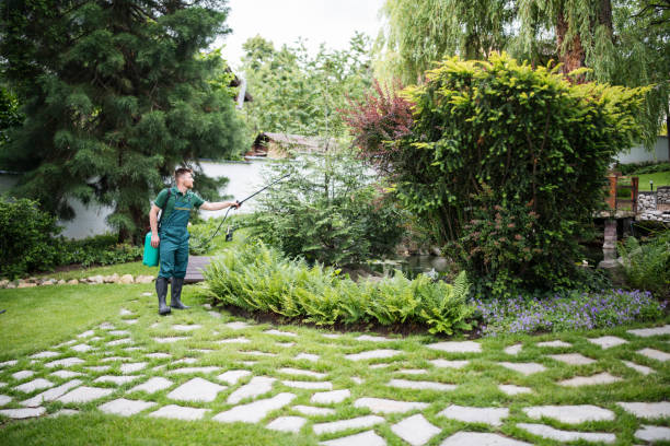 Best Pest Prevention Services  in Spinnerstown, PA
