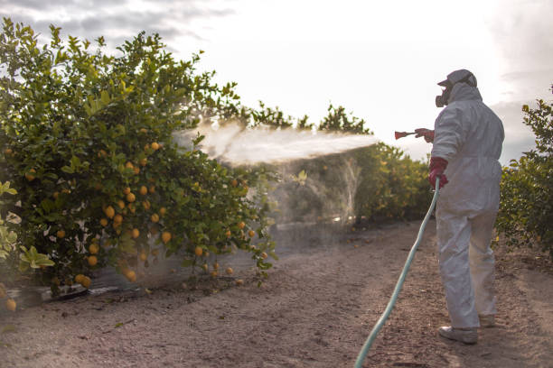 Insect Control in Spinnerstown, PA