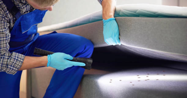 Best Ant Control Services  in Spinnerstown, PA