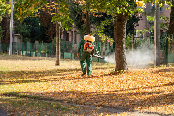 Best Wasp Removal Services  in Spinnerstown, PA