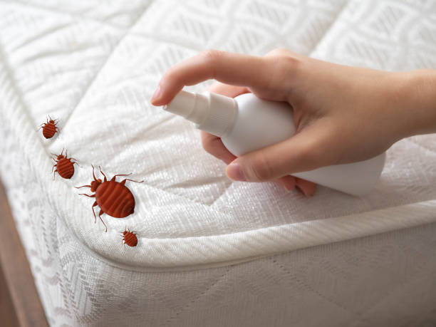 Pest Control Cost in Spinnerstown, PA