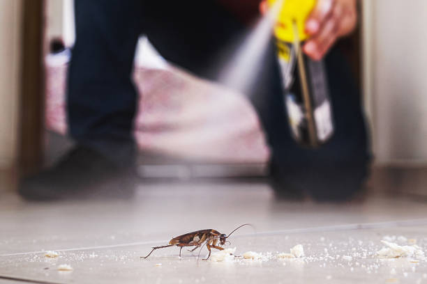 Best Flea Control Services  in Spinnerstown, PA