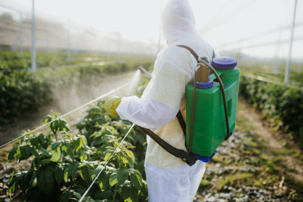 Best Mosquito Control Services  in Spinnerstown, PA